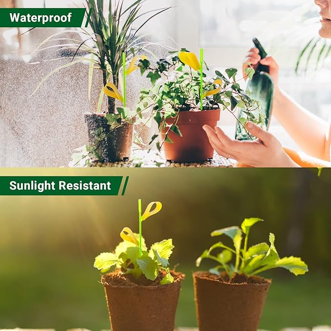 30PCS Fruit Fly Traps for Indoors Gnat Traps for House Indoor Yellow Sticky Traps for Plants Catcher for Whiteflies Fungus Gnat Mosquitoes Thrips... Stake Holders Included