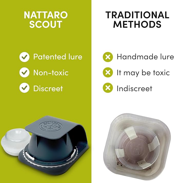 Scout Bed Bug Detection Trap – Non-Toxic Early Monitoring Solution with Patented Pheromone Technology, Includes 4 Bed Bug Detection Traps, Replaceable Lures and User Guide