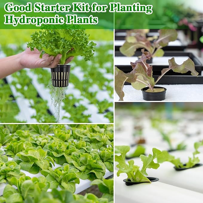 Halatool 36PCS 1.2-Inch Rockwool Cubes with 30PCS 2-Inch Net Cups for Hydroponics Great Hydroponic Kit for Cuttings Clone Plant Propagation Seed Starting & Soilless Cultivation