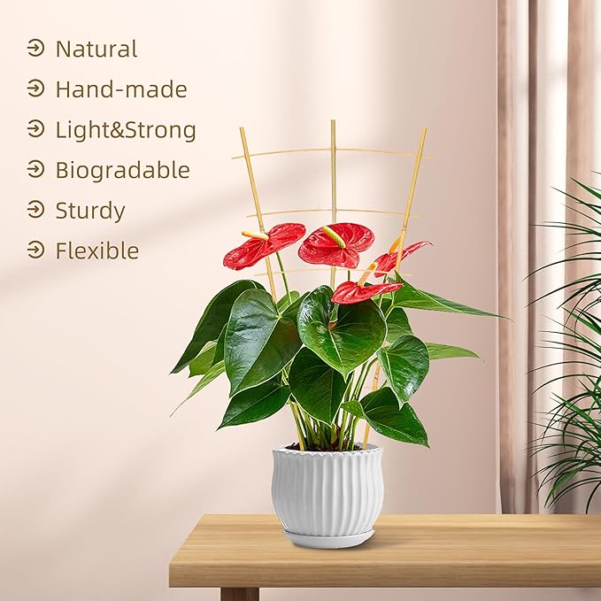 Bamboo Garden Trellis - 24 Inches Tall, 3 Pack - Perfect for Climbing Plants, Vegetables, and Pots - Enhance Your Garden with Natural Bamboo ，2Ft Plant Trellis Indoor
