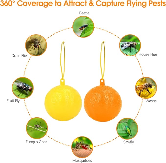 Original Fruit Fly Trap Ball, 12pcs Hanging Fungus Gnat Killer Catcher, Adhesive Sticky Glue Catching Ball Fly Gnat Wasp Hornet Mosquito Bugs Flying Insects Trap Ball for Indoor Outdoor Plant