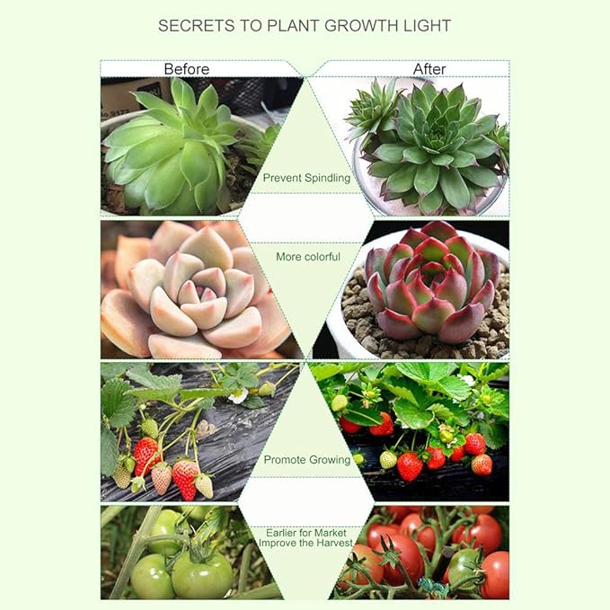 40W Grow Light LED Plant Grow Lights Full Spectrum for Indoor Plants, Auto ON Off with 3/9/12H Timer, 9 Dimmable Lightness Clip-On Desk Grow Lamp Bulbs