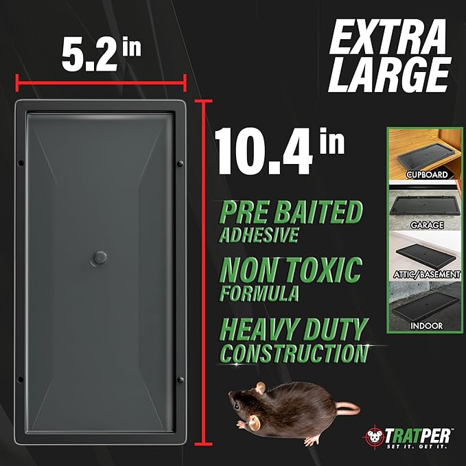 Glue Traps for Mice,Rat,Mouse,Snake,Lizard,Insect. 6 Pack. Extra Strength,Pre-Baited Adhesive.Heavy Duty Plastic Tray.Non-Toxic,Chemical-Free Pest Control for Home. 6Pack