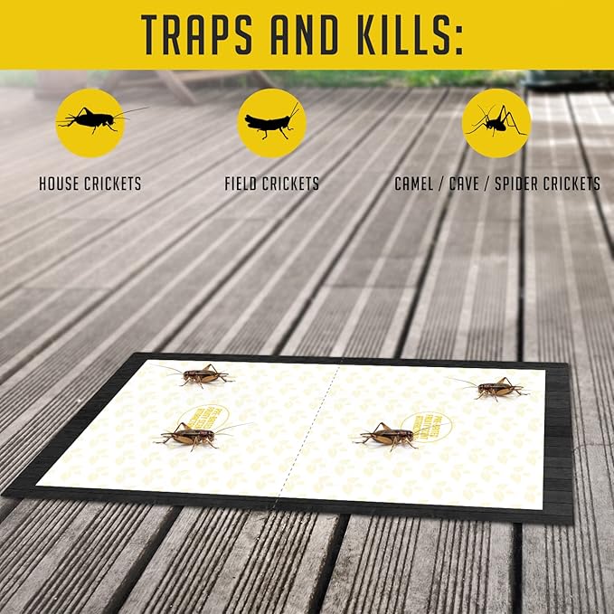 Cricket Traps Indoor (12 Traps) Extra Large Bug Sticky Traps - Non-Toxic Extra Sticky Glue Traps for Bugs - Pre-Baited Fruity Scent Crickets Bug Trap Indoor - Insect Glue Traps for Bugs - Trap a Pest
