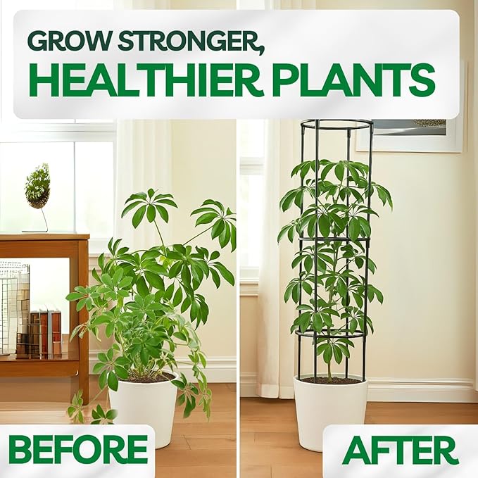 Tomato Cage – Trellis for Climbing Plants - Adjustable Plant Support Stakes, Monstera, Cucumber – Indoor/Outdoor, Tool-Free, Recycled Materials, Fits Greenhouse/Raised Beds (85cm x 22cm)