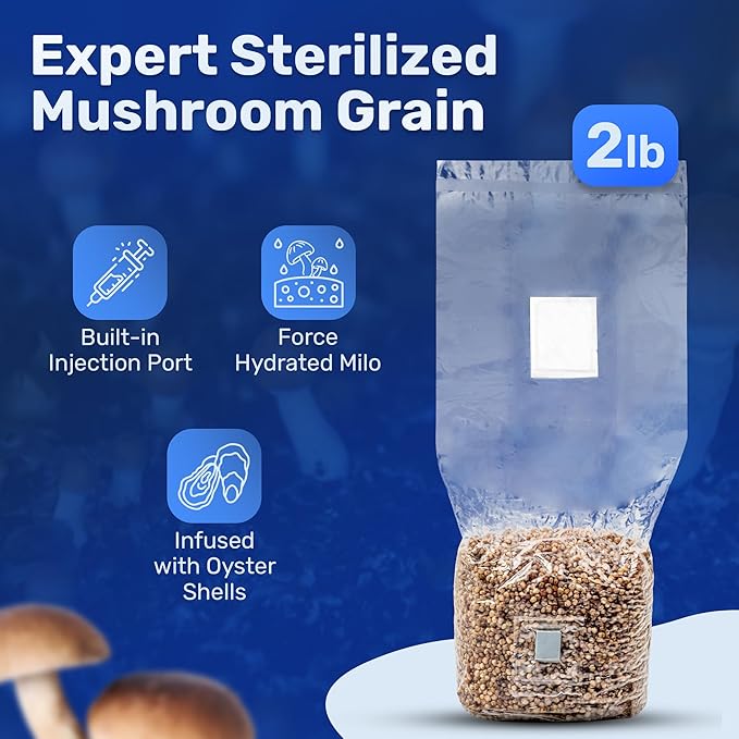 Surfin' Spores All-in-One Mushroom Grow Kit | 6 lb Grow-in-Bag Kit/Monotub Refill | Includes: 2 lb Sterile Grain Bag with Injection Port & 4 lb Organic CVG Substrate | Spores Not Included