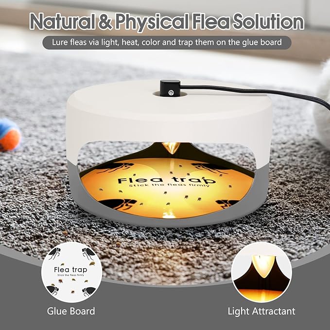 2 Pack Flea Traps for Inside Your Home, Indoor Flea Light Bed Bug Killer with 6 Light Bulb & 4 Sticky Pads Refills, Odorless Natural Insect Infestation Trap for Kid Pet, Safer Than Sprays & Powders