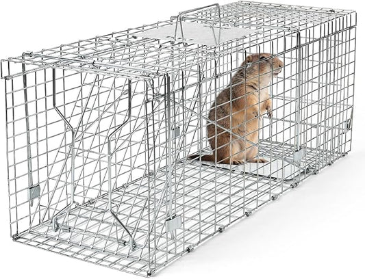31" Live Animal Trap, Heavy Duty Folding Squirrel Traps Outdoor, Humane Catch & Release Cat Trap for Stray Cats, Raccoons, Squirrel, Skunk, Mole, Groundhog, Armadillo, Rabbit
