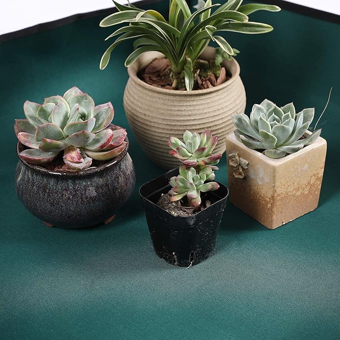 Oxford Houseplants Repotting Mat, Waterproof Indoor Plant Potting Tray, Foldable Bonsai Repotting Pad, Garden Soil Mess Workspace Cloth for Succulent, Cactus, Aloe Vers, 29.5 x 29.5