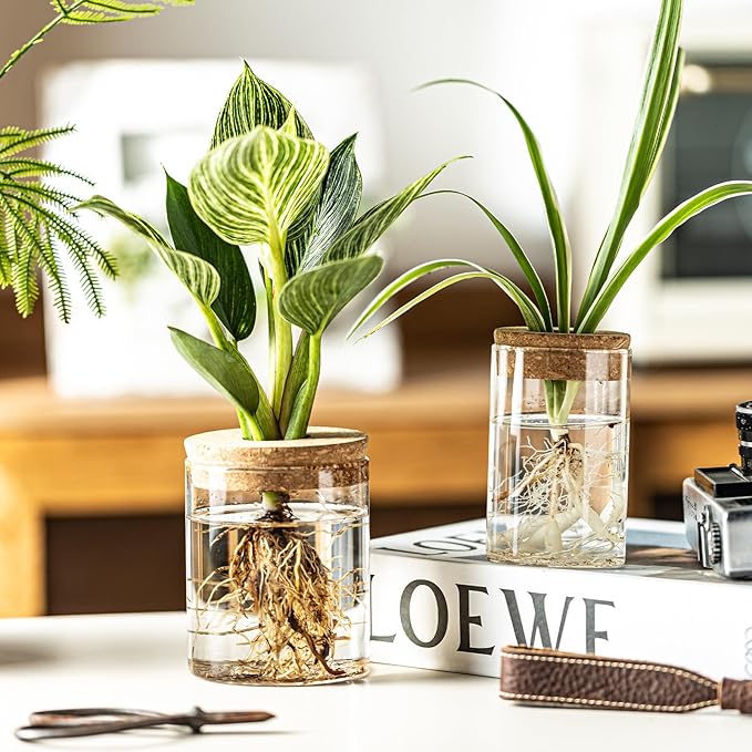 Glass Propagation Stations for Plants -Desktop Flower Vases,Propagation Flower Vases Set – 2 Sizes Planter Propagated Jars,for Plant Cuttings,for Living Room, Bedroom Decoration,Home,Office Decor(4)
