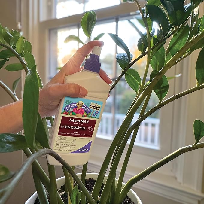 Bonide Captain Jack's 12 oz Neem Max Ready-to-Use Spray for Houseplants Indoors