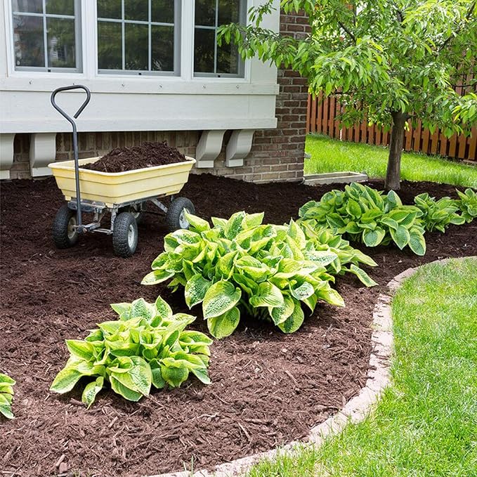 4ft x 50ft Garden Weed Barrier Landscape Fabric, Durable & Heavy Duty Ground Cover Weed Blocker Fabric Gardening Mat, Superior Weed Control for Vegetable Garden, Flower Bed, Mulch