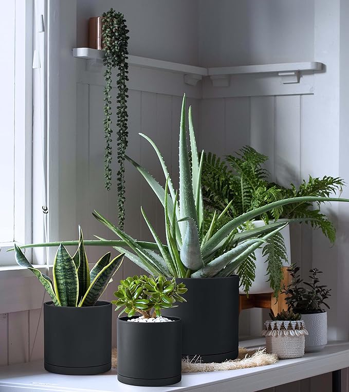 D'vine Dev 6 Inch 6.5 Inch 8 Inch, Set of 3 Plastic Planter Pots for Plants with Drainage Hole and Seamless Saucers, Black Color, Medium, 74-V-B-3