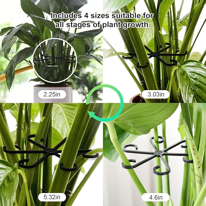 6pcs Climbing Houseplant Stem Supports,Plant stem Support Indoor Outdoor Use,Stem Hook Growth Accessories for Plant Garden, Promotes Upright Growth and Airflow(Black)
