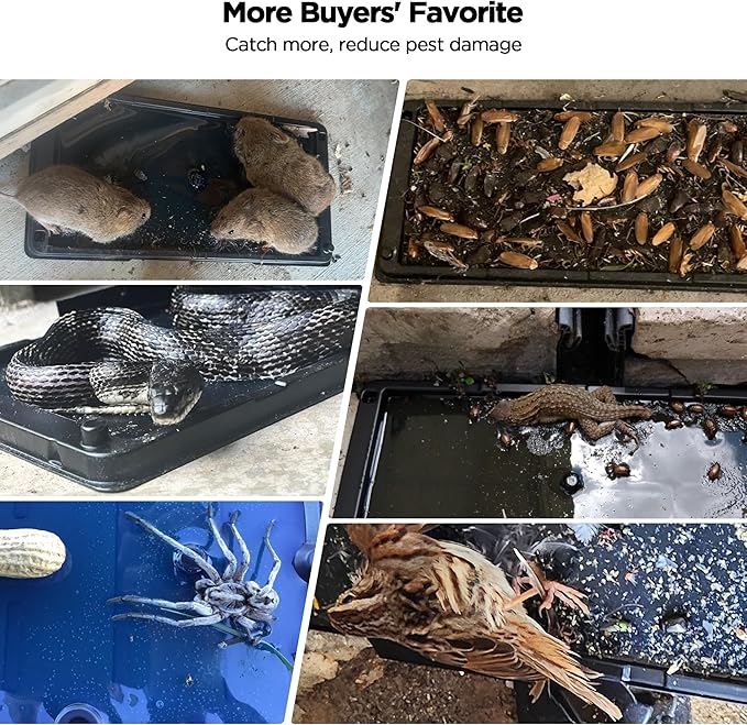 Glue Traps for Mice 12 Pack, Mouse Rat Taps, Extra Strength, Pre-Baited Adhesive Sticky Boards, Heavy Duty Glue Traps for Snake, Lizard, Insect, Safe Home Pest Control