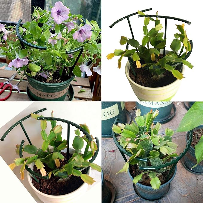 14Pcs Plant Support Stake Half Round Plant Support Ring Garden Flower Support for Tomato, Hydrangea, Indoor Plants, 6.3" Wide X 10.3" High