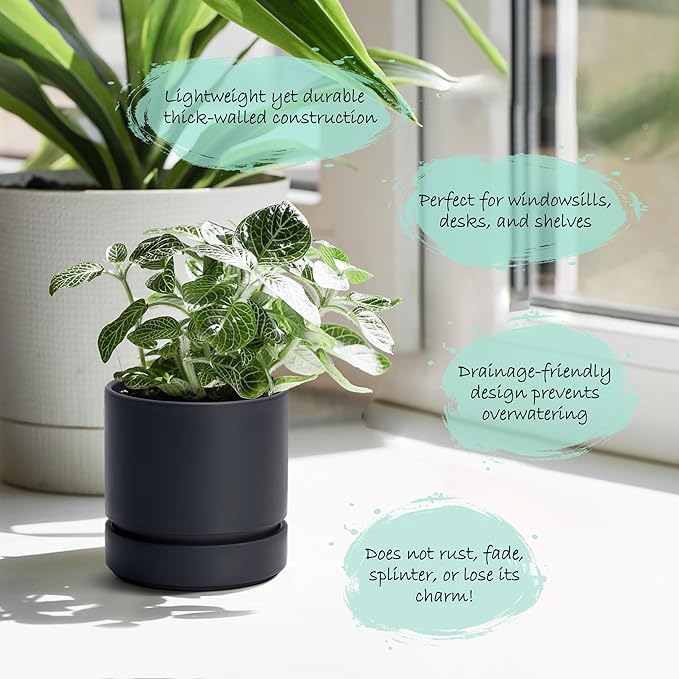 Phoenix Vine 4 Inch Planter Pot with Drainage Hole & Saucer, Deep Water Catch Tray, Straight Cylindrical Round Pot for Plants, Matte Black, Pack of 6, 23-C-R-6