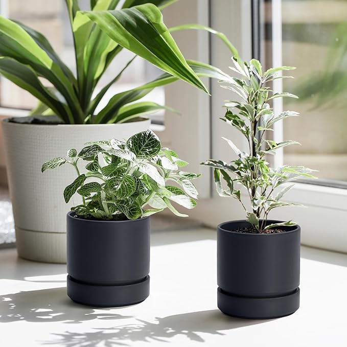 Phoenix Vine 4 Inch Planter Pot with Drainage Hole & Saucer, Deep Water Catch Tray, Straight Cylindrical Round Pot for Plants, Matte Black, Pack of 4, 23-C-R-4