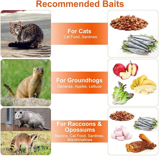 Humane Animal Trap, 37"x14"x15" Foldable Large Live Cage Traps for for Raccoons Beavers Groundhogs Foxes Armadillos and Other Live Animals, Easy to Catch and Release, Work for Indoor Outdoor