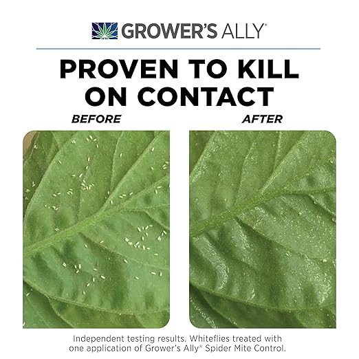 Grower's Ally Spider Mite Control Concentrate 2.5 gal | Natural Spider Mite & Insect Killer with Rosemary Oil - Trusted by Cultivators for Indoor and Outdoor Use