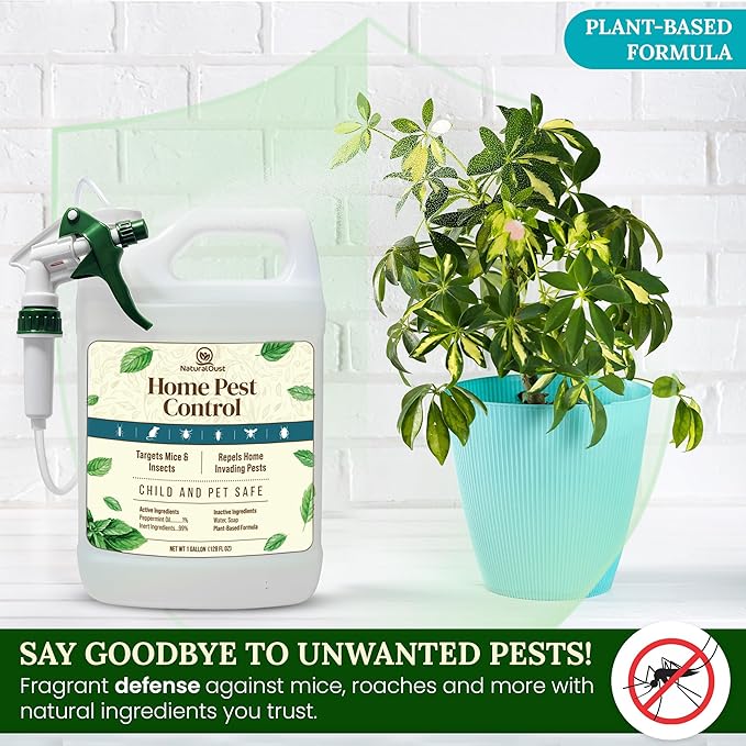 Peppermint Oil Rodent Repellent, Roach Ant Spider Bug Insect Killer, Eco Friendly Pest Control to Repel Mice, Humane Repeller Alternative to Mouse Trap, Family & Pet Safe (1 gal, Peppermint)