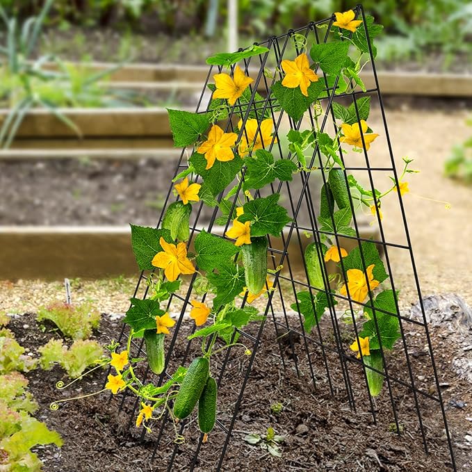 DoCred Cucumber Trellis, 2 Pack Foldable A Frame Trellis for Raised Bed Climbing Plants, Vegetables, Includes Plant Support Clips, Twist Ties, Plastic Ties- Made from PVC-Coated Steel