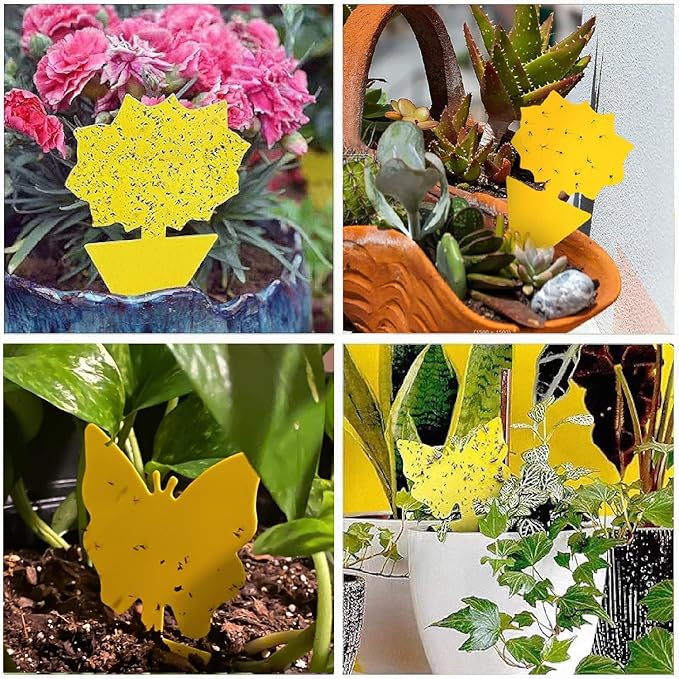 58 Pcs Flying Insect Traps for Plants,Indoors, Outdoors, Kitchen, Office, Yellow Sticky Traps for Fungus Gnat, Fly and Flying Insects, Non-Toxic & Odorless, Kid & Pet Safe, Economic Pack