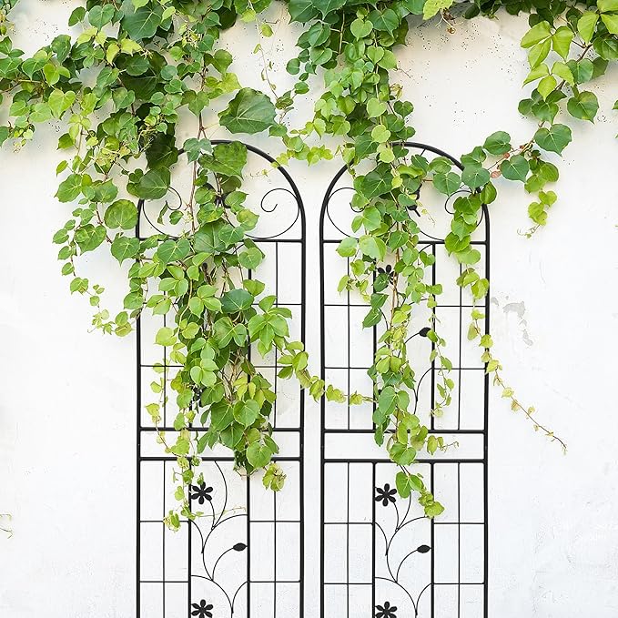 2 Pack Metal Garden Trellis for Climbing Plant Rose Stand, Black Outdoor 71" Tall Flower Support Iron Garden Fence (Black 71" H,2Pack