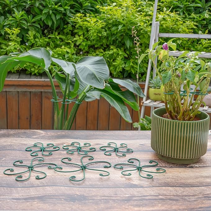 Monstera Plant Stem Support - 5 Pack 6.5"x6.5" Green Metal Stem Stabilizers, Adjustable Ring Clamps for Indoor Plants, Fishbone Cactus, Turtle Shell Bamboo & Climbing Vines
