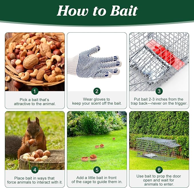 2 Pack Humane Rat Trap, Foldable Single Door Metal Mouse Cage for Small Squirrel Raccoon Feral and Other Small Live Animals, Easy to Catch and Release, Work for Indoor Outdoor