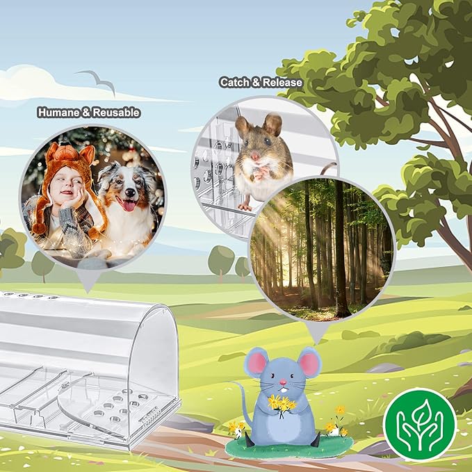 4 Pcs Humane Mouse Traps No Kill, Live Mouse Traps Indoor for Home, Reusable Mice Small Rat Trap Catcher for House & Outdoors(Clear)