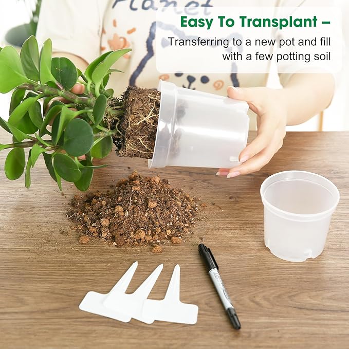 36 Packs 3.5/4/4.3 Inch Clear Nursery Pots for Plants Variety Pack, Transparent Plastic Plant Pots with Drain Holes, Seed Starting Pot Clear Planter Container with 20 Plant Labels for Gardening