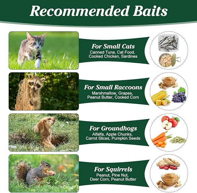 2 Pack Humane Rat Trap, Foldable Single Door Metal Mouse Cage for Small Squirrel Raccoon Feral and Other Small Live Animals, Easy to Catch and Release, Work for Indoor Outdoor