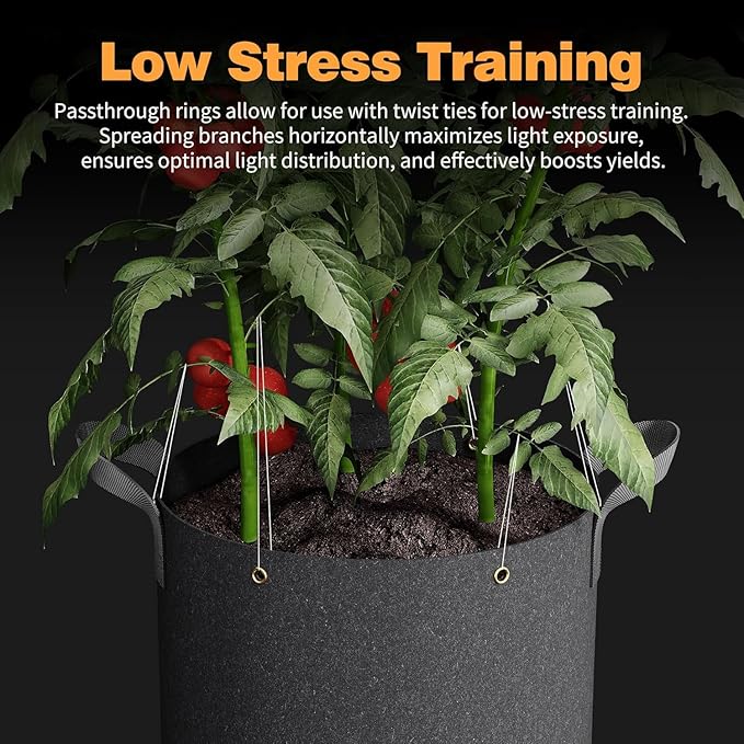 Self-Watering Grow Bags, 5-Pack 10 Gallon 420G Thick Nonwoven Fabric Pots with Reinforced Handles and Multi-Purpose Rings, for Low Stress Plant Training Fruits, Vegetables,and Flowers