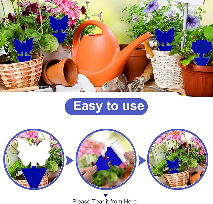 Fruit Fly Traps, 60 Pack Blue Sticky Traps, Fungus Gnat Traps, Plant Fly Stickers for Indoor and Outdoor Use Protect The Plant