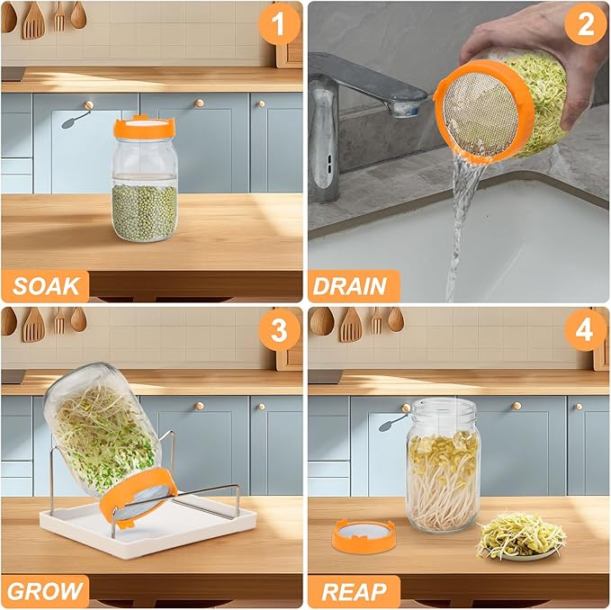 Lulonpon Sprouting Kit, 4 Sprouting Jar Kits, Wide Mouth Quart Mason Jars with Stainless Steel Screen Sprout Lids,1000ml Sprouts Growing Kit, Seed Sprouter Set for Growing Broccoli, Bean, Alfalfa ﻿