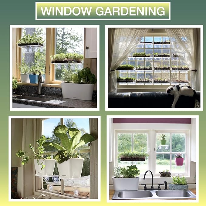 Window Garden – Aquaphoric Self Watering Mini Planter Pots (3 Pack) – Grow On Indoor Sill. Perfect for Potting Small Plants, Herbs, African Violets, Succulents, or Start Seedlings.