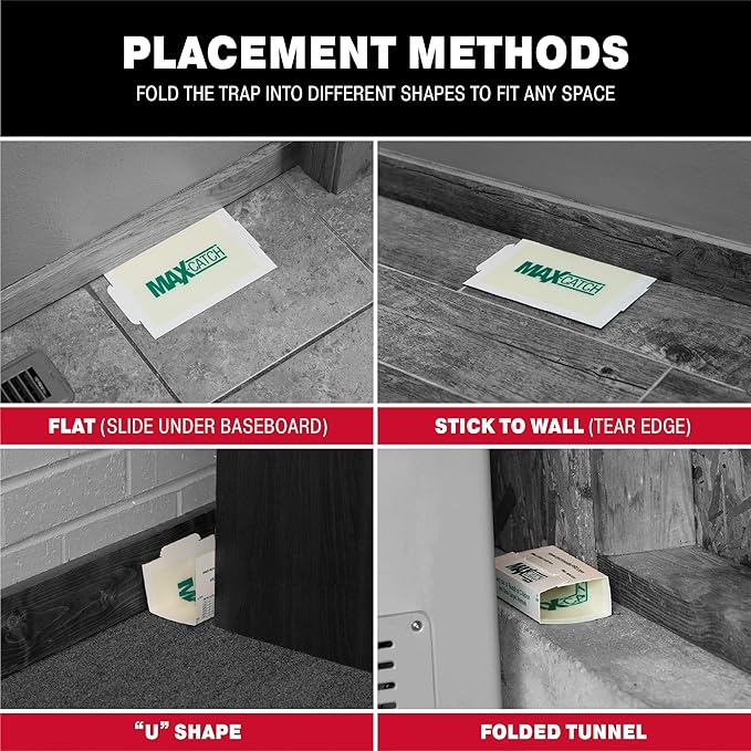 Catchmaster Max-Catch Mouse & Insect Glue Trap 36pk, Mouse Traps Indoor for Home, Sticky Pest Control Adhesive Tray for Catching Bugs, Rats & Rodents, Bulk Classic Glue Boards