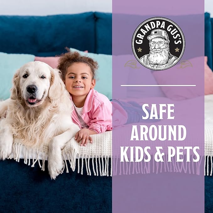Grandpa Gus's Bed Bug Glue Traps for Home & Travel, Early Detection, Lasts up to 6 Months, Small & Discreet Patented Crush-Proof Design (Pack of 12)