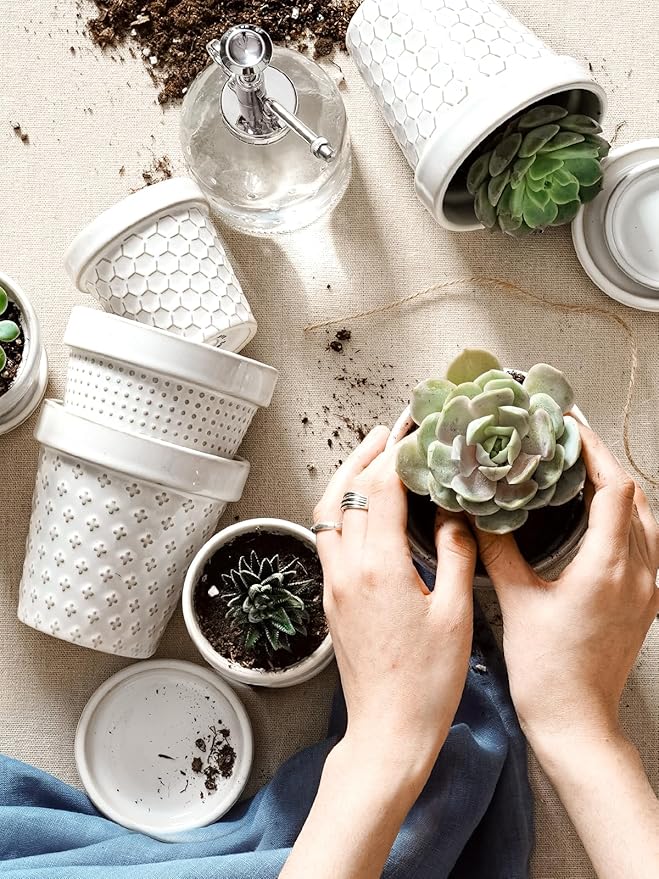 LE TAUCI 3 Inch Mini Succulent Pots - Very Small Ceramic Planter with Saucer, Tiny Embossed Flower Pots for Lithops, Mini Cactus, Air Plants, Fairy Gardens - Indoor Home Decor, Set of 4, Arctic White