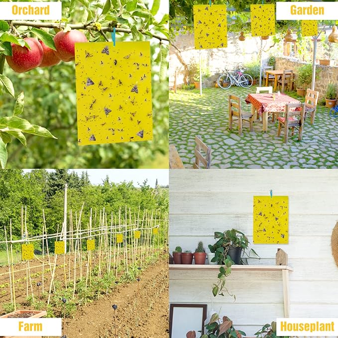30 Pack Yellow Sticky Traps Fruit Fly Trap, Double-Sided Fungus Gnat Trap Insects Pest Killer for Outdoor Indoor