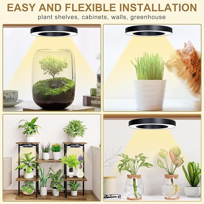 Full Spectrum Grow Light for Indoor Plants, 144 LEDs Halo Plant Light with Auto On/Off Timer (4/8/12H), 10-Level Brightness, 3 Lighting Modes, for Small Plants & Seedlings (Black, Dual Head)