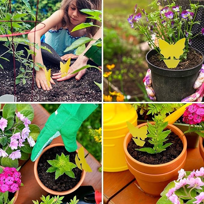 64 Pcs Sticky Trapz for gnat, Yellow Stick Traps for Plants, Fungus gnat Traps Double Side with Shovel, Indoor Safe for Gnat, Fruit Fly, White Fly, Aphid, Leaf Miner