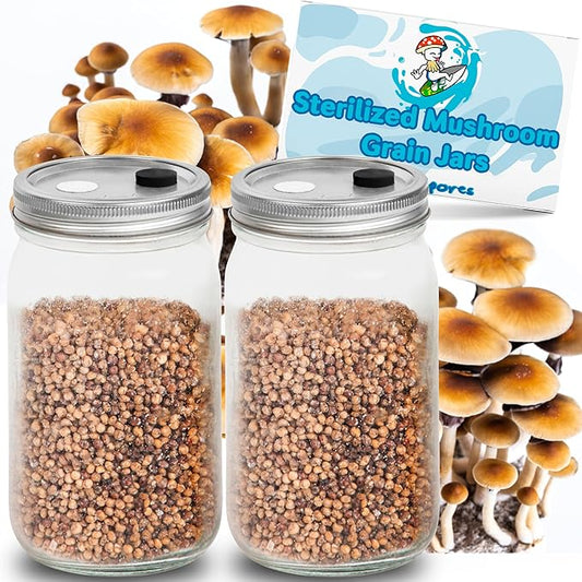 Surfin' Spores Mushroom Growing Grain Jars, Sterilized Hydrated Grain Spawn | 32 oz Glass Jars w/Self-Healing Injection Ports & Filter | Milo, Oyster Shell, & Gypsum Blend | 1 lb Per Jar (Two Pack)