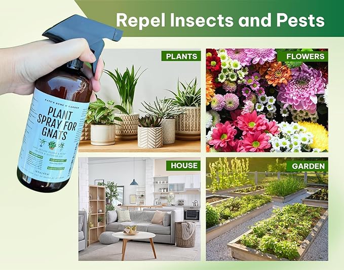 Kate's Garden Plant Spray for Insects & Getting Rid of Gnats. Fungus Gnat Killer & Bug Spray for Indoor Plants (16oz, Pet Safe, Non Toxic)