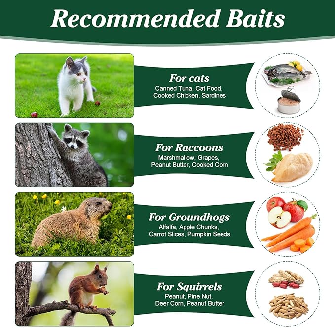Humane Animal Trap, Foldable Medium Live Cage Traps for Cats Rabbits Racoons Beavers Groundhogs Foxes Armadillos and Other Live Animals, Easy to Catch and Release, Work for Indoor Outdoor