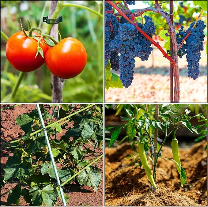 Green Metal Plants Support Stakes (Pack of 8), Garden Single Stem Plant Support Rod and Ring with 10 PCS Plant Clips, Plant Support and Clips Set - for Amaryllis, Rose, Tomato Seedling, Sapling