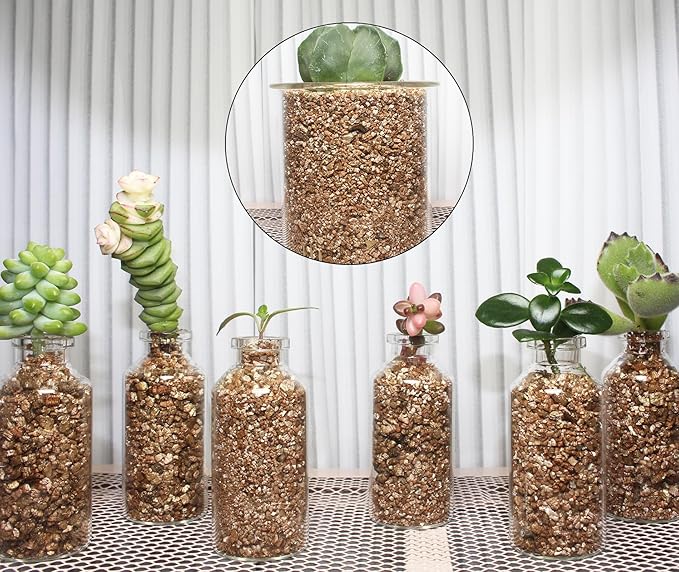 10QT Organic Vermiculite for Plants, Horticultural Soil for Potted Plants, Coarse Hydroponic for Succulent Orchid Gardening Reptiles