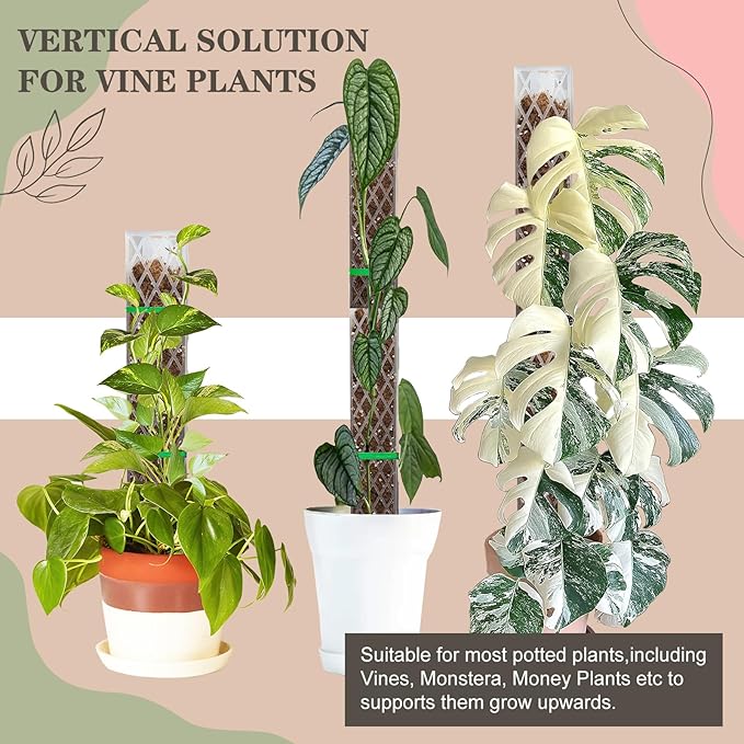 Sisher Monstera Moss Pole 4pcs Plastic Moss Pole for Climbing Plants Work with Sphagnum Moss 16 Inch D Shaped Poles Sturdy Plant Support Stakes Plant for Indoo Plants, White