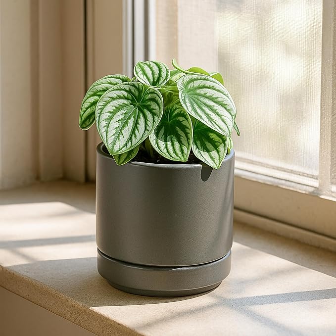 D'vine Dev 4.7 Inch Ceramic Planter Pot with Drainage Hole and Saucer, Indoor Cylinder Round Planter Pot, Grey, 94-O-B-3
